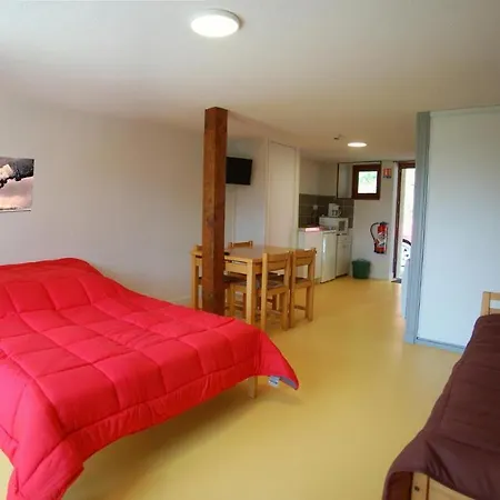 Du Cantal - Meubles Avec Kitchenette Et Chambres Sans Kitchenette * Condat (Cantal)